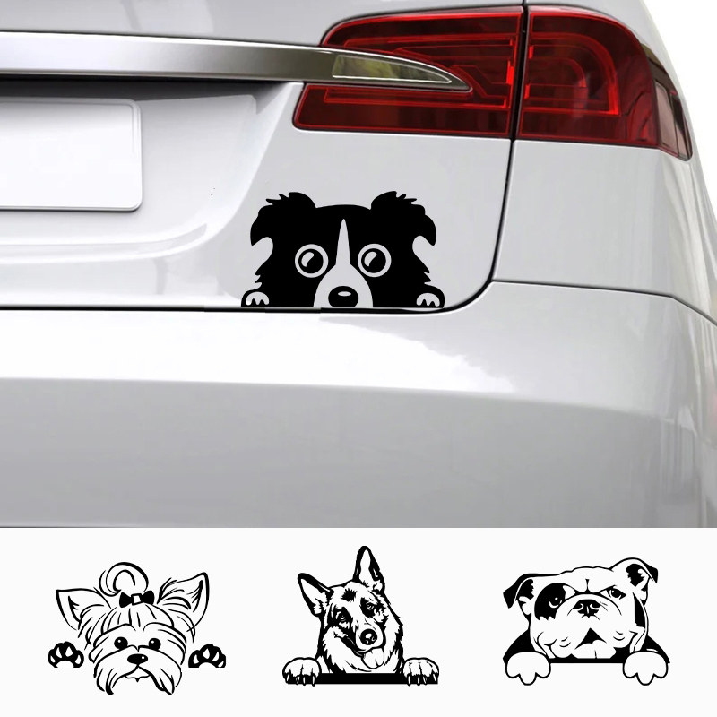 Cars Accessorie Decals Funny D - Laptop Accessories Name recension och pris